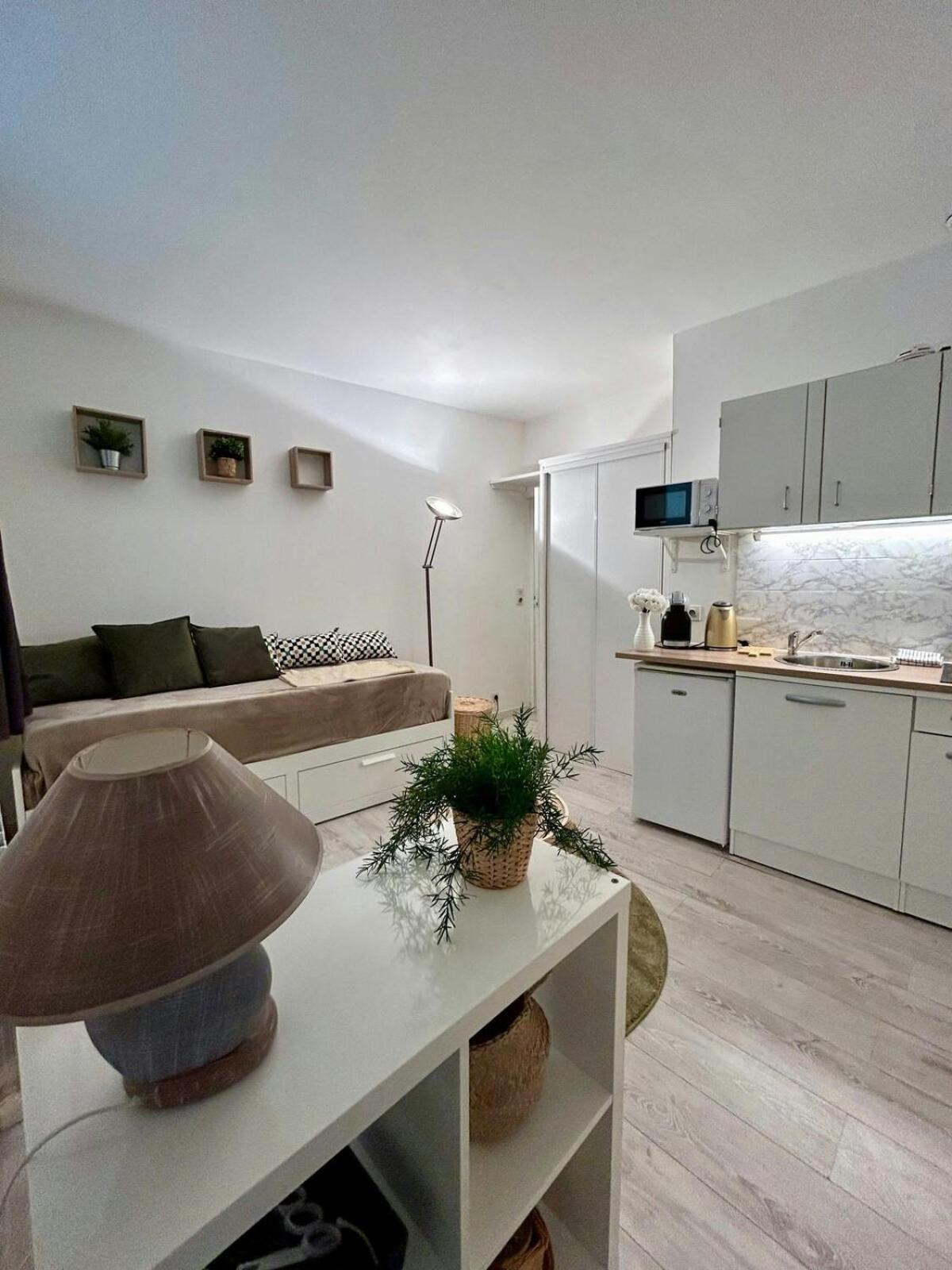 Апартаменты Au Charme Des Carmes - T1 Sur Cour - Metro A & B Тулуза Экстерьер фото